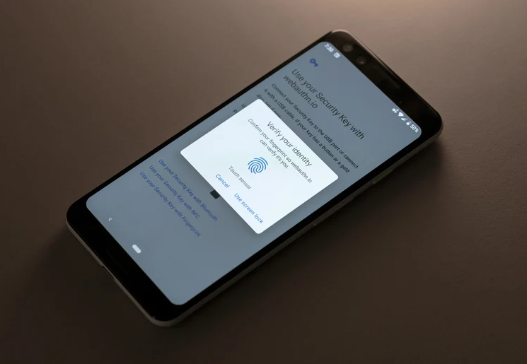 تطبيقي Enpass و Bitwarden يدعمان الآن المصادقة عبر الوجه في بكسل 4